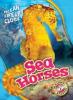 Cover image of Sea horses