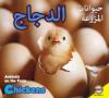 Cover image of Chickens