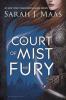 Cover image of A court of mist and fury