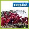 Cover image of Tundras