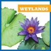 Cover image of Wetlands