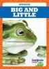 Cover image of Big and little