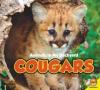 Cover image of Cougars