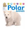 Cover image of Polar animals