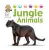 Cover image of Jungle animals