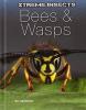 Cover image of Bees & wasps