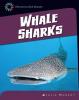 Cover image of Whale sharks