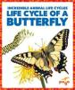 Cover image of Life cycle of a butterfly