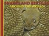 Cover image of Snakes and reptiles around the world