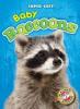 Cover image of Baby raccoons