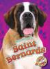 Cover image of Saint Bernards