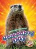 Cover image of Groundhog Day
