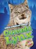 Cover image of Canada lynx