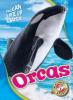 Cover image of Orcas