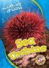 Cover image of Sea urchins