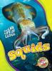 Cover image of Squids