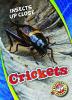 Cover image of Crickets