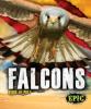 Cover image of Falcons