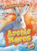 Cover image of Arctic hares
