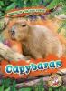 Cover image of Capybaras