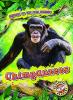 Cover image of Chimpanzees