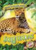 Cover image of Jaguars