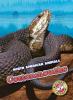 Cover image of Cottonmouths