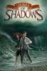 Cover image of The book of shadows