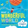 Cover image of What a wonderful world