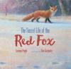 Cover image of The secret life of the red fox