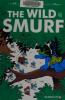 Cover image of A Smurfs graphic novel