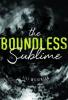 Cover image of The Boundless Sublime