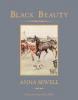 Cover image of Black Beauty