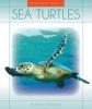 Cover image of Sea turtles