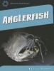 Cover image of Anglerfish