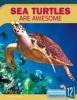 Cover image of Sea turtles are awesome