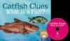 Cover image of Catfish clues