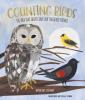 Cover image of Counting birds