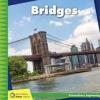 Cover image of Bridges