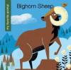 Cover image of Bighorn sheep