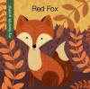 Cover image of Red fox
