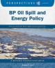 Cover image of BP oil spill and energy policy
