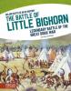 Cover image of The battle of Little Bighorn