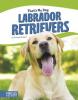 Cover image of Labrador retrievers