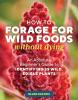 Cover image of How to forage for wild foods without dying