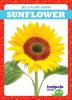 Cover image of Sunflower