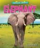 Cover image of Elephant