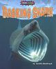 Cover image of Basking shark