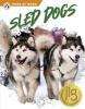 Cover image of Sled dogs