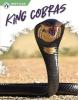 Cover image of King cobras